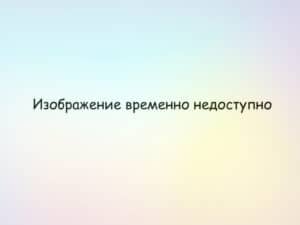 Главные этапы сотрудничества с работодателями